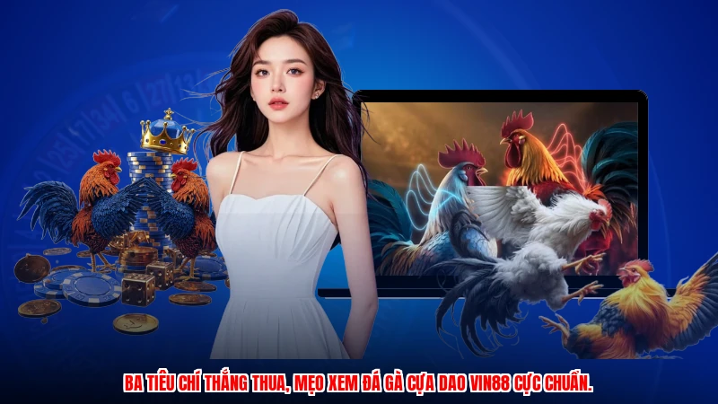 Ba tiêu chí thắng thua, mẹo xem đá gà cựa dao VIN88 cực chuẩn.