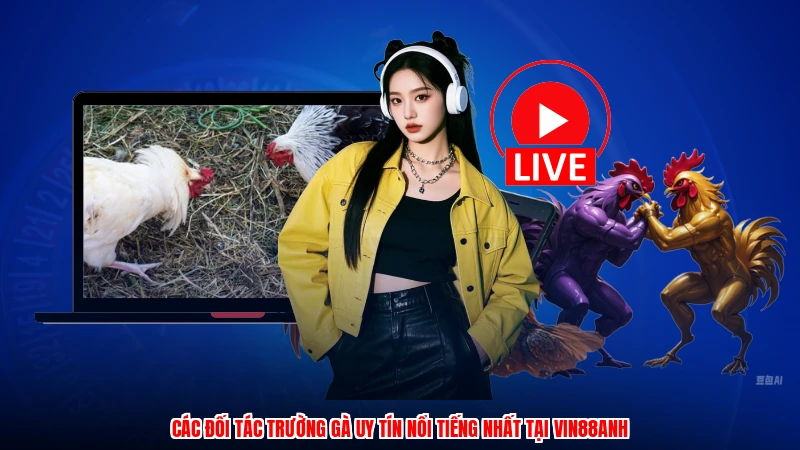 Các đối tác trường gà uy tín nổi tiếng nhất tại VIN88anh