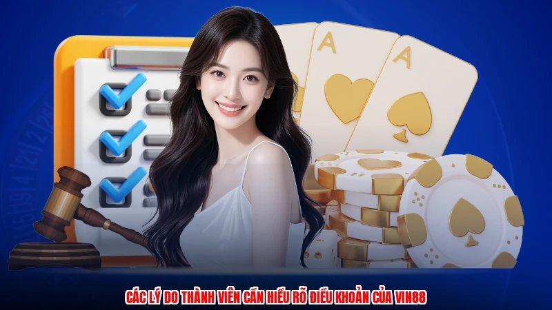 Các lý do thành viên cần hiểu rõ điều khoản của Vin88