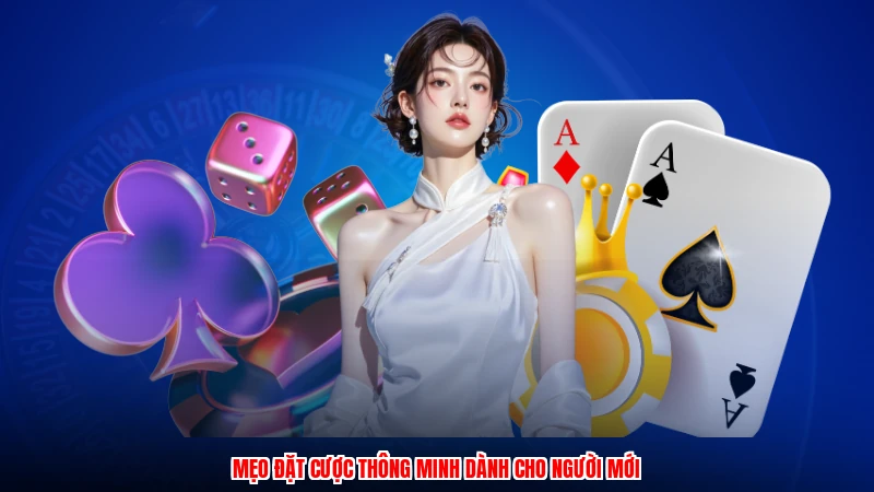 Mẹo đặt cược thông minh dành cho người mới
