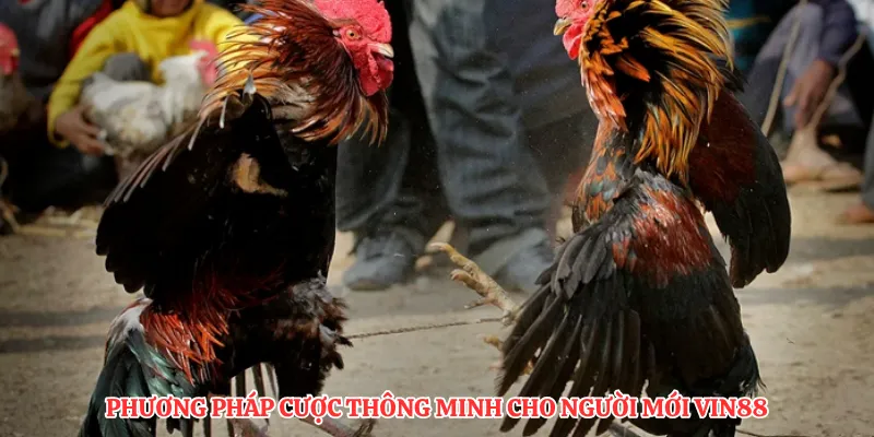 Phương pháp cược thông minh cho người mới VIN88
