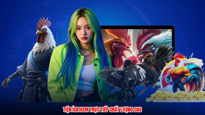 Tiện ích xem trực tiếp chất lượng cao