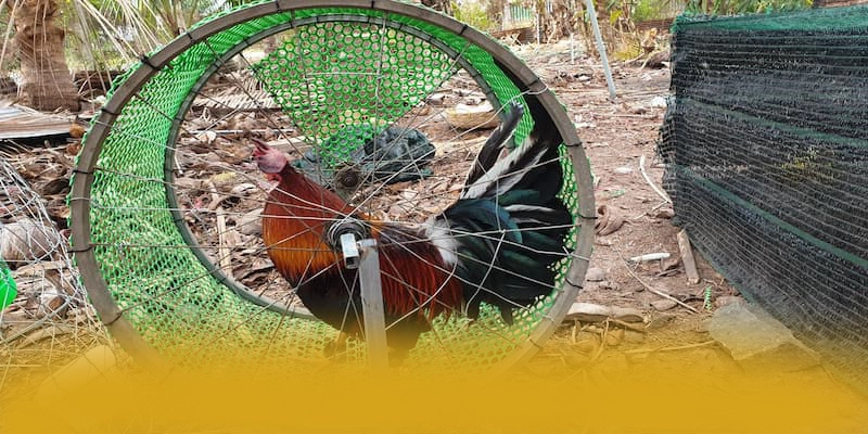 Đội ngũ hỗ trợ người chơi tại FB88 Đội ngũ hỗ trợ người chơi tại FB88