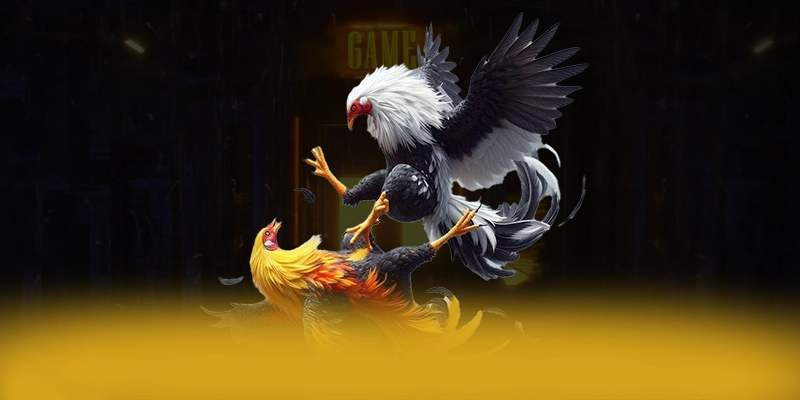 SUNWIN - Nhà cái cung cấp hàng trăm tựa game đẳng cấp hiện nay SUNWIN - Nhà cái cung cấp hàng trăm tựa game đẳng cấp hiện nay